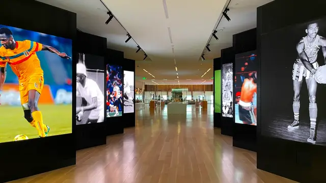 The International African American Museum